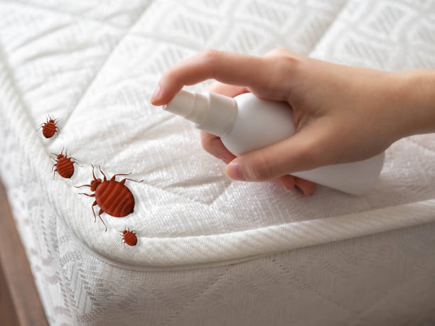 Emergency Pest Control Services in Elkridge, MD